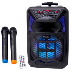 Караоке система Thunder THS-B801