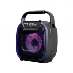 Колонка Thunder THS-B401